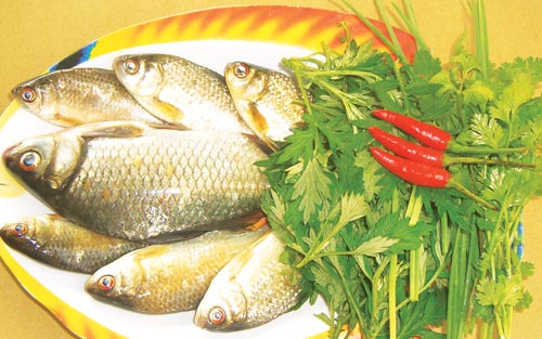 Cá diếc tươi sạch tự nhiên