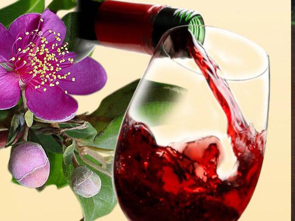 Tác dụng của rượu sim