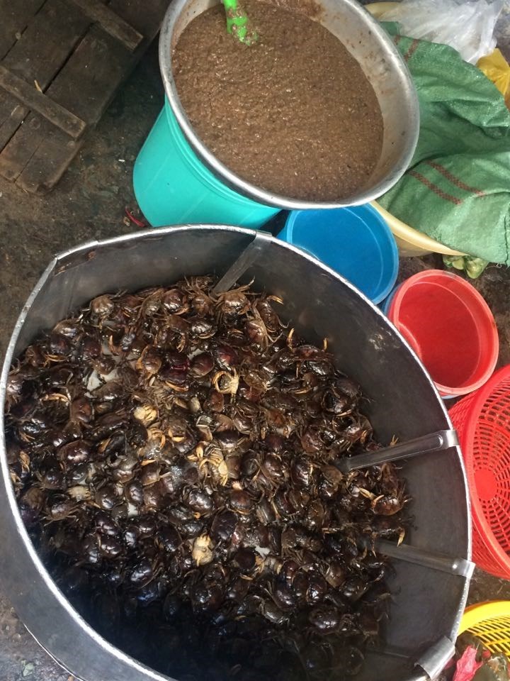 Cách làm sạch cua đồng