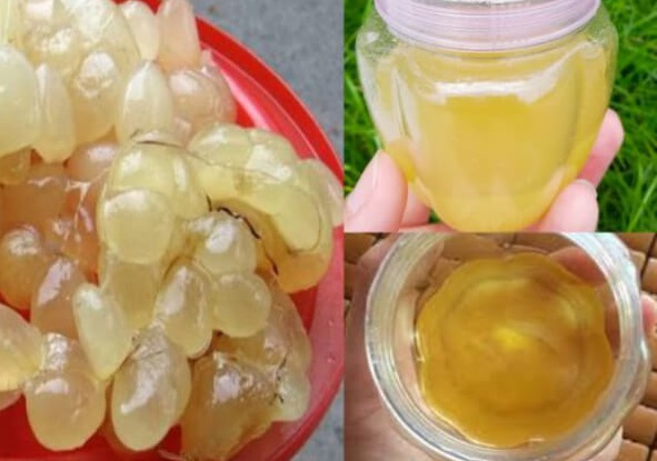 Mỡ trăn nguyên chất3