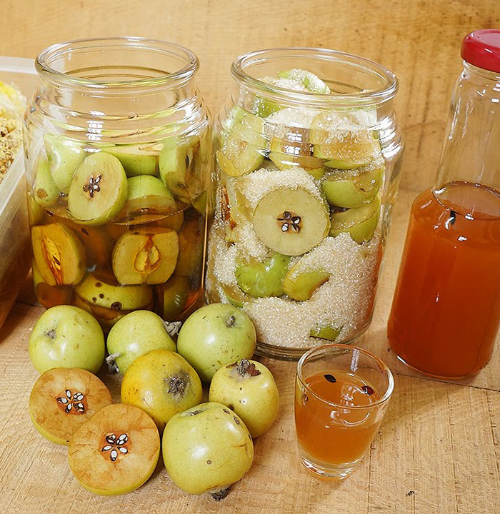 Rượu táo mèo ngon