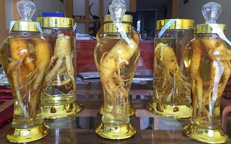 Rượu đinh lăng sạch 