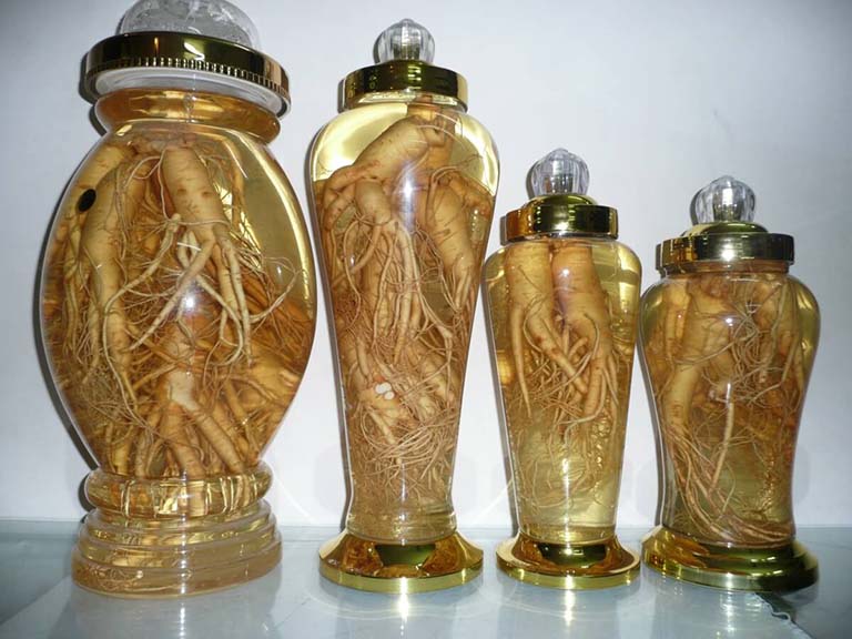 ngâm rượu đinh lăng