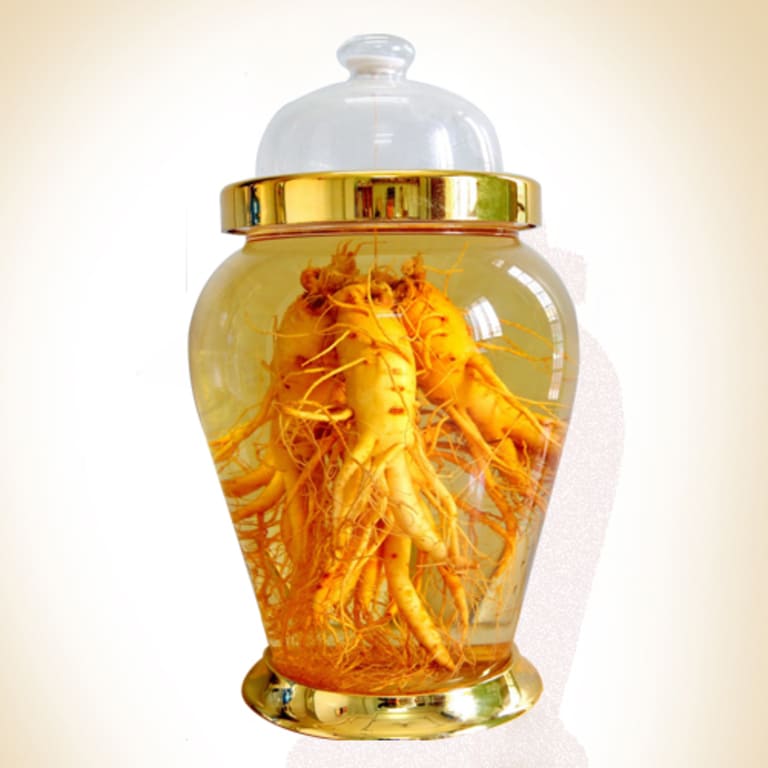 cách ngâm rượu đinh lăng