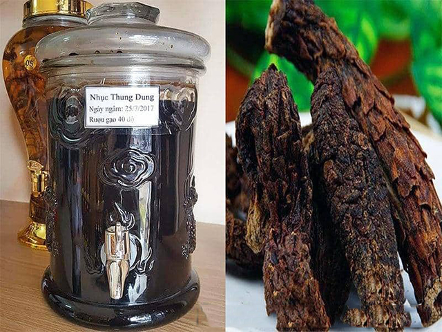 mua rượu ngâm nhục thung dung