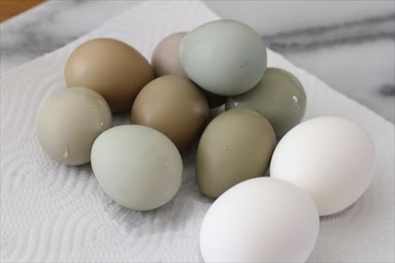 Trứng chim trĩ ngâm rượu 110k/chục