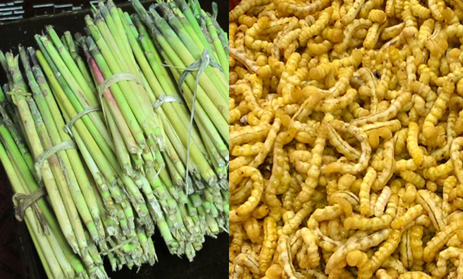 Sâu chít 1.8tr/1kg