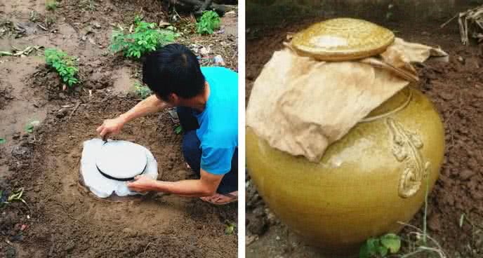 Lưu ý khi làm rượu Bách Nhật tại nhà