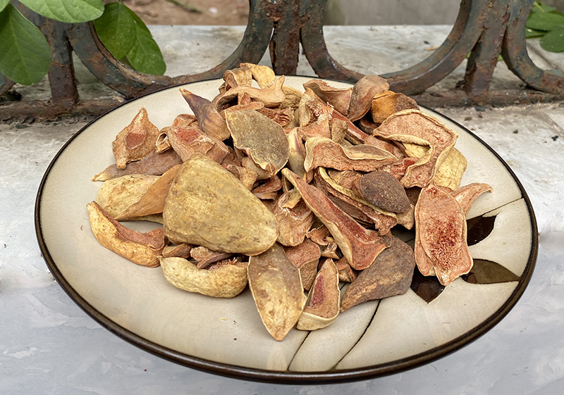 Các bài thuốc hay từ quả trâu cổ