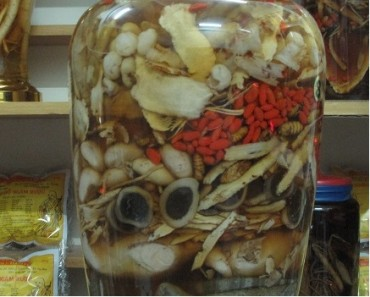 bình rượu bạch tật lê