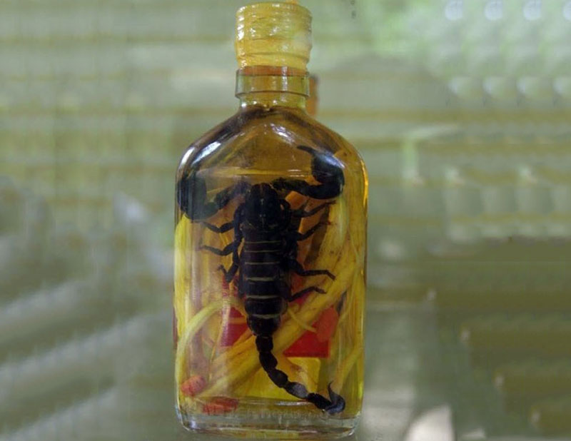 Công thức ngâm rượu bọ cạp chuẩn nhất