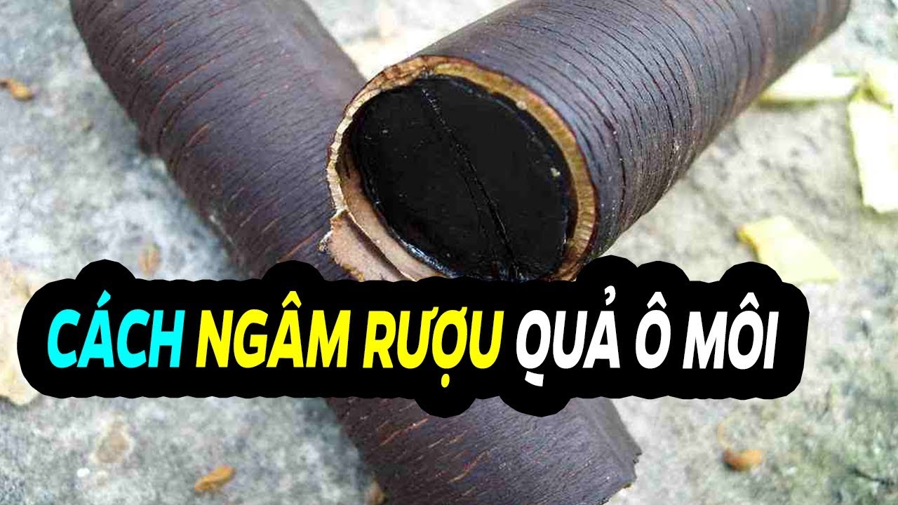 Hướng Dẫn Ngâm Rượu Quả Ô Môi Chữa Đau Nhức Xương Khớp