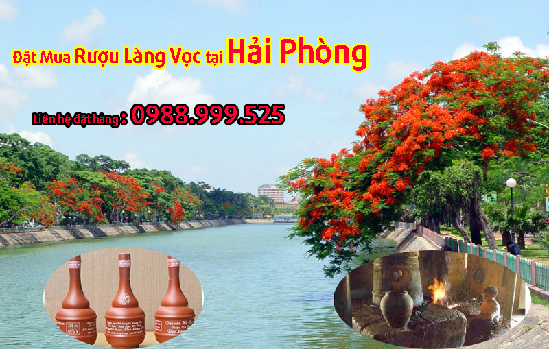 Đặt Mua Rượu Làng Vọc tại Hải Phòng