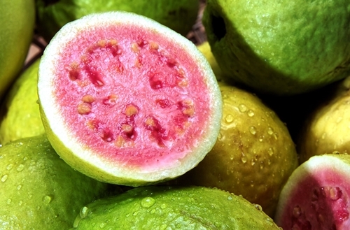 Hướng dẫn cách ngâm rượu ổi