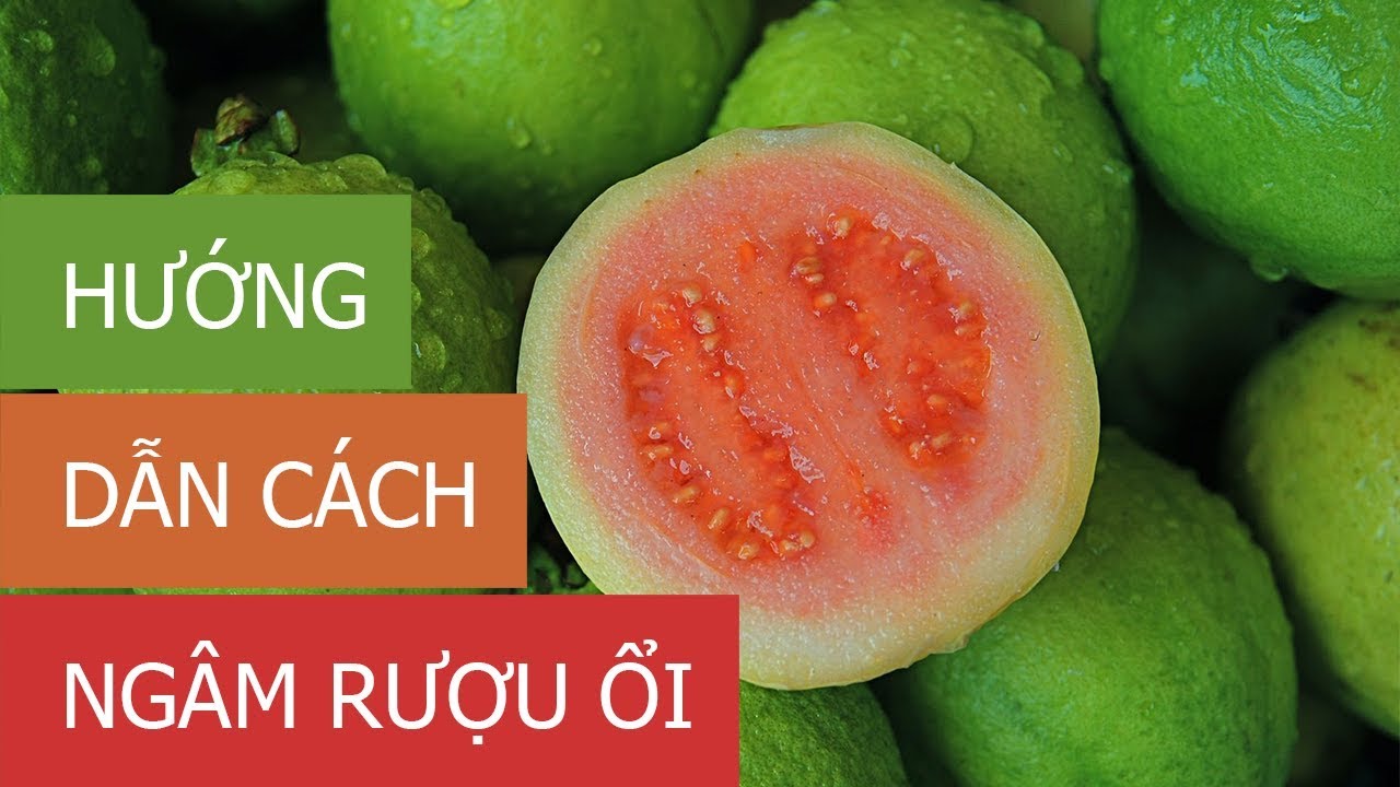 Học Ngay Cách Ngâm Rượu Ổi Ngon mà Đơn Giản Tại Nhà 