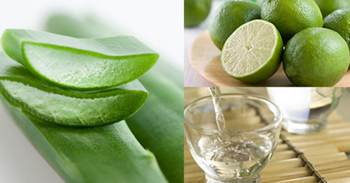 Nguyên liệu để làm nha đam ngâm rượu