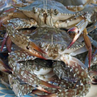 Ghẹ lột Phú Quốc - 600k/kg