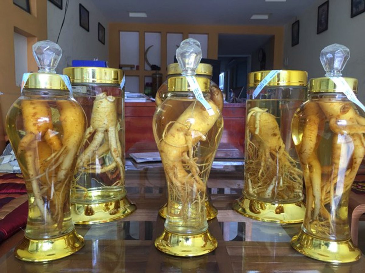 Hướng Dẫn Ngâm Rượu Đinh Lăng Tại Nhà