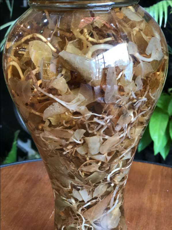 bình rượu lan gấm