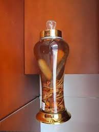 bình rượu nhung hươu