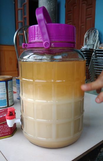 Bí quyết ngâm rượu cao ngựa cực bổ dưỡng