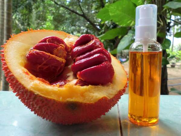 Cách ngâm rượu hạt gấc tại nhà