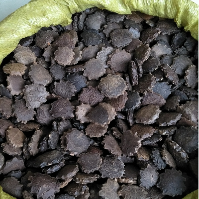 Sơ chế hạt gấc