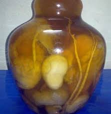 Hướng dẫn ngâm rượu kê gà bổ dương