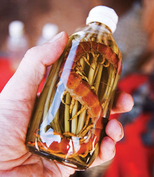 rượu thuốc