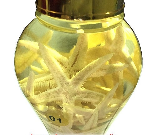 Cách ngâm rượu sao biển