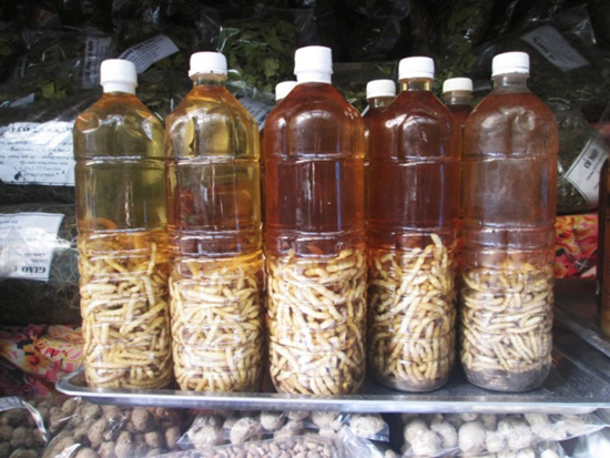 Hướng dẫn ngâm rượu sâu chít