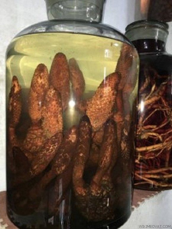 rượu tích dương